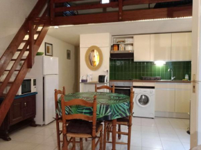 Villa T2 avec mezzanine, terrasse, parking privé, proche commerces et plage, calme, 6 couchages - FR-1-81-91